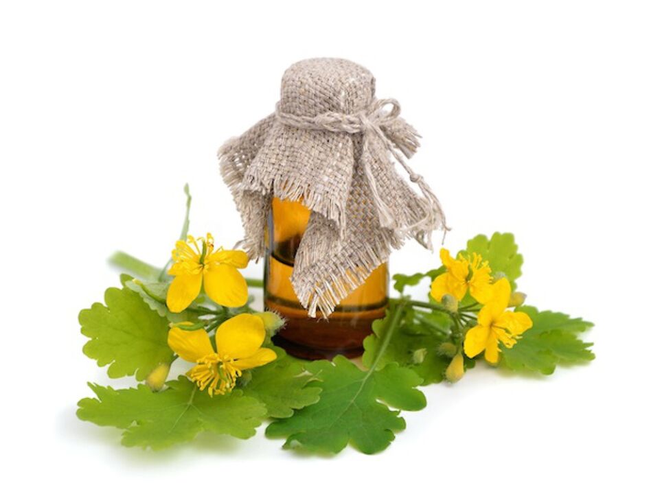 infusión de celidonia para hongos en los pies